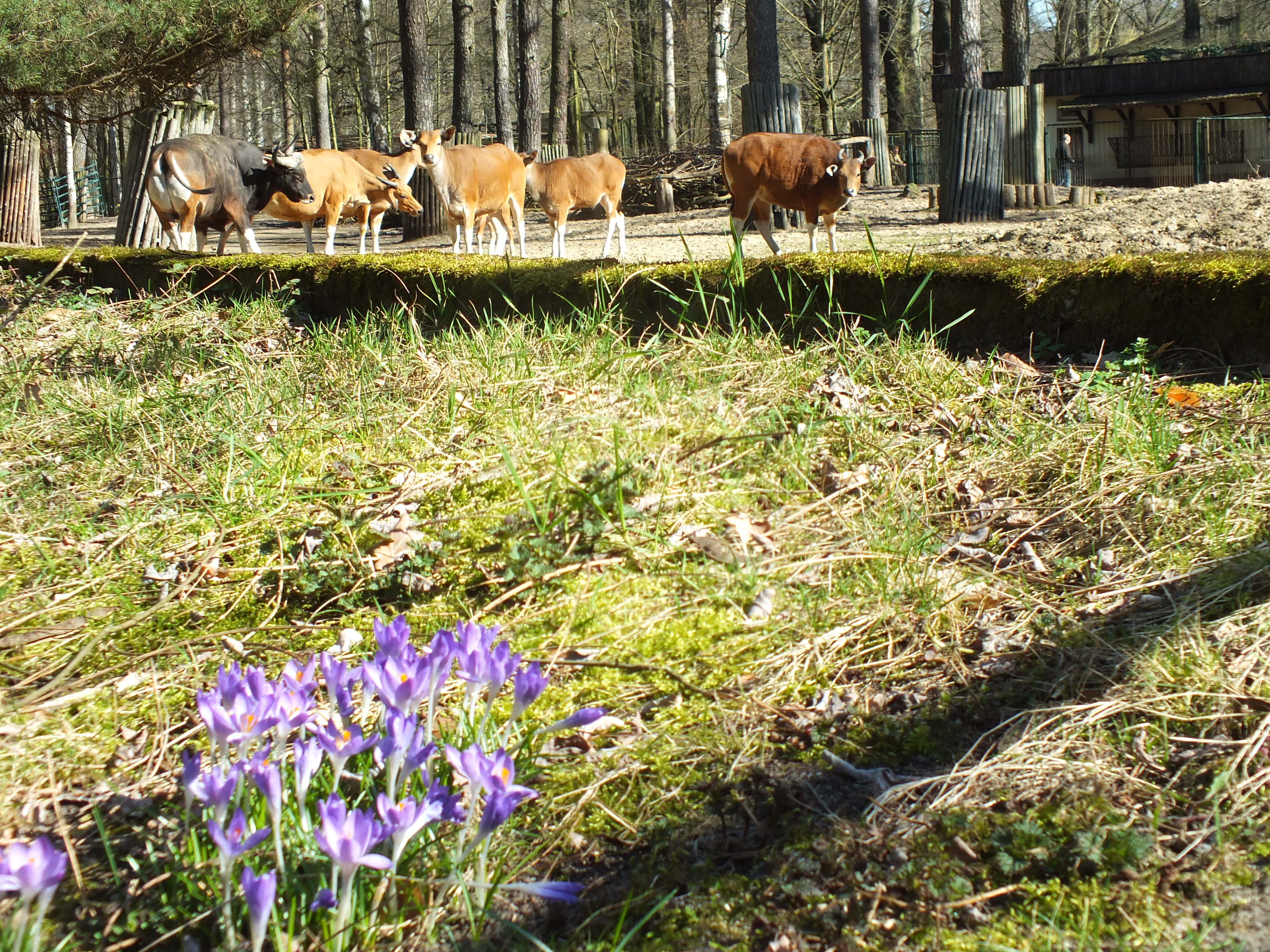 Tierpark täglich wieder bis 19:00 Uhr!