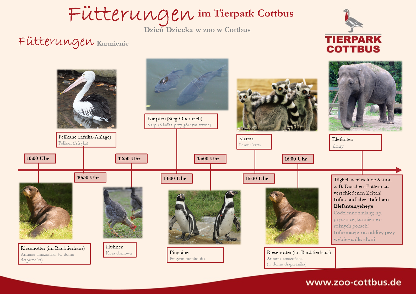 Sommerfütterungen