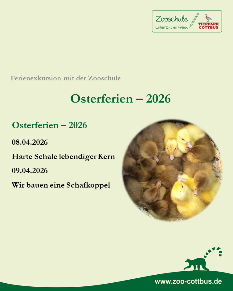 Ferienexkursion mit der Zooschule - Osterferien 2026