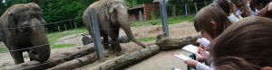 Tierpark-Rallye und Rätsel