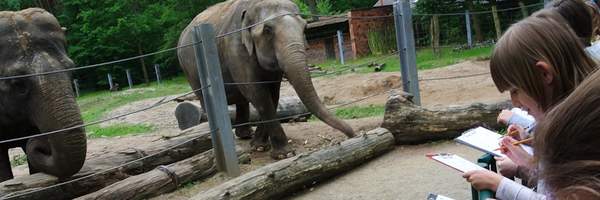 Tierpark-Rallye und Rätsel