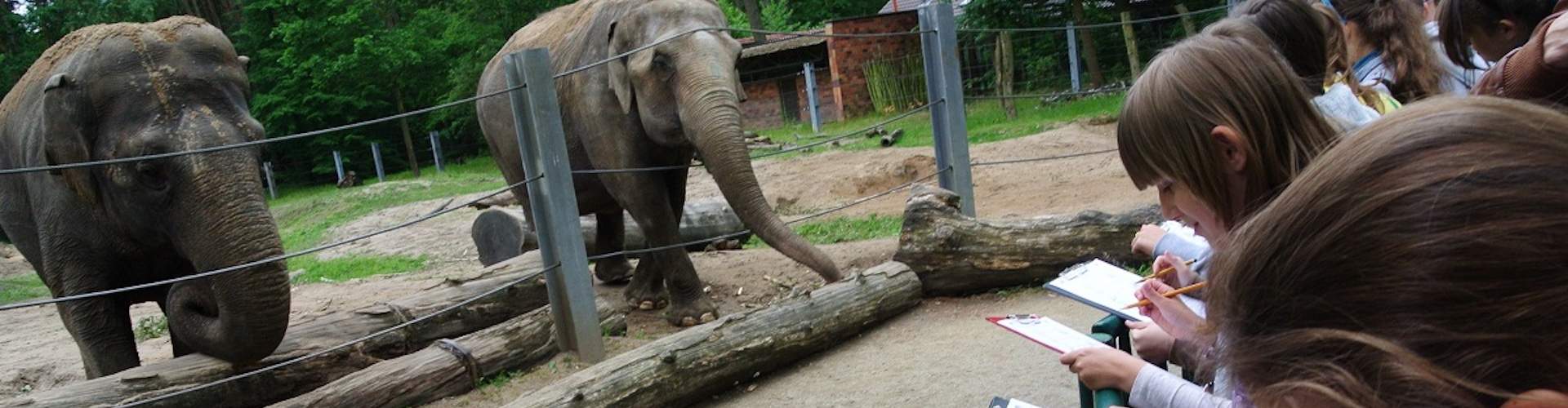 Tierpark-Rallye und Rätsel