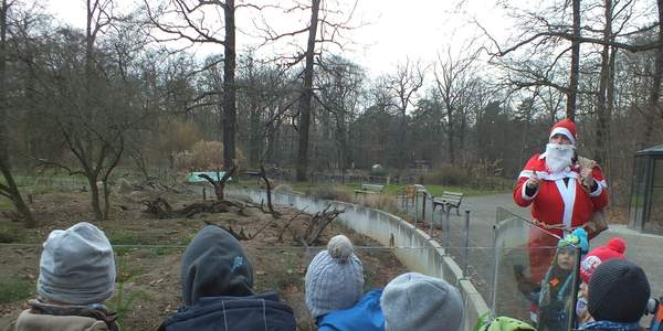 Fröhliche Weihnachten