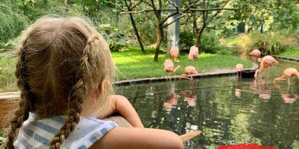 1. Juni: Kindertag im Tierpark